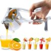 Fruit Juice Squeezer