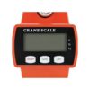 300Kg Crane Scale